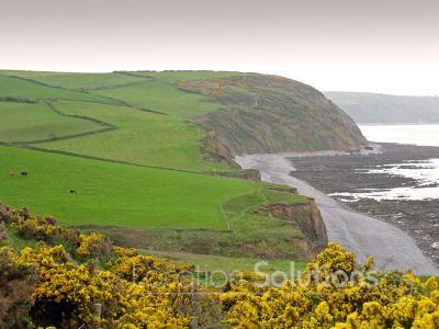 Green Fields,Cliffs and Shingle